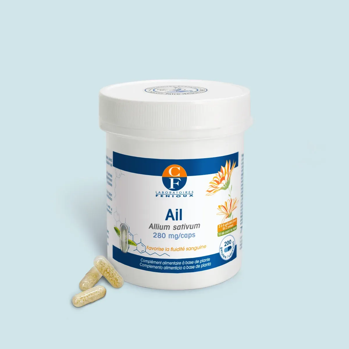 Ail (Allium sativum) - Circulation - Cholestérol