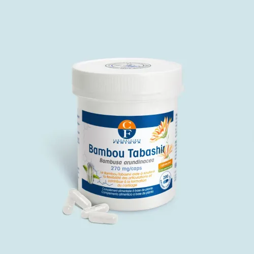 Bambou Tabashir