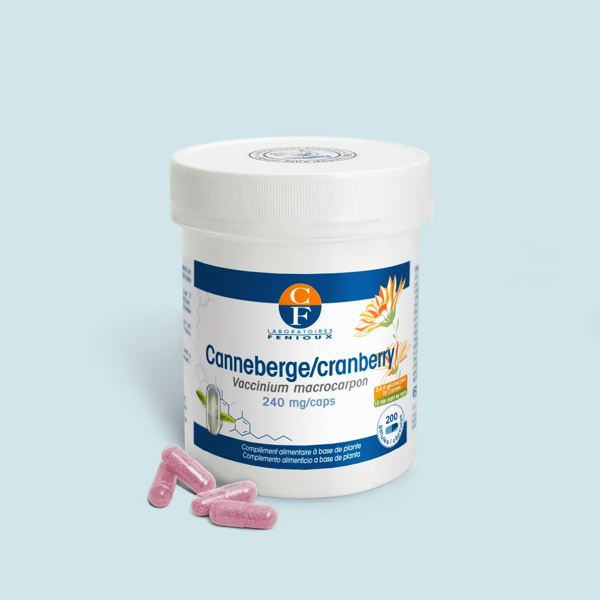 Canneberge - Cranberry - Complément alimentaire