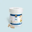 Goji - Fatigue