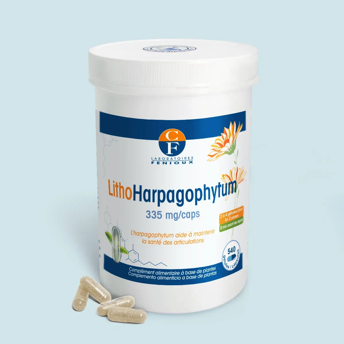 LithoHarpagophytum (Harpagophytum procumbens) - Articulations