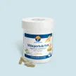 Millepertuis fort - Détente - Sommeil