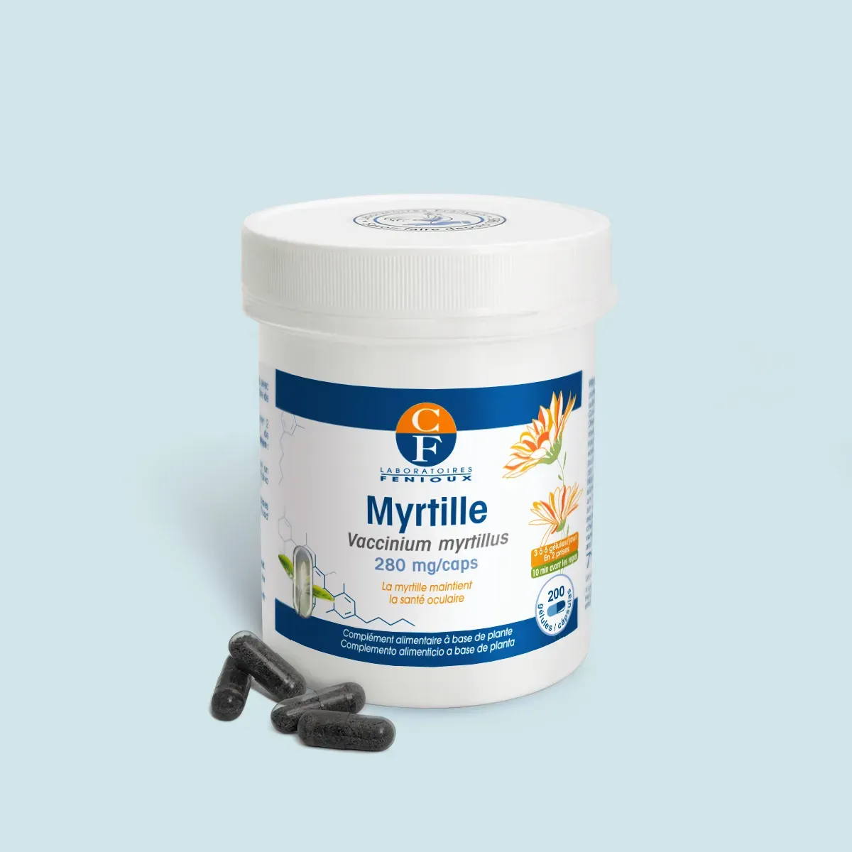 Myrtille (Vaccinium myrtillus) - Santé oculaire