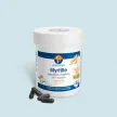 Myrtille (Vaccinium myrtillus)