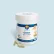 Olivier (Olea europaea) - Vasculoprotecteur