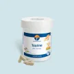 Taurine (extrait d'huître) - Riche en taurine naturelle