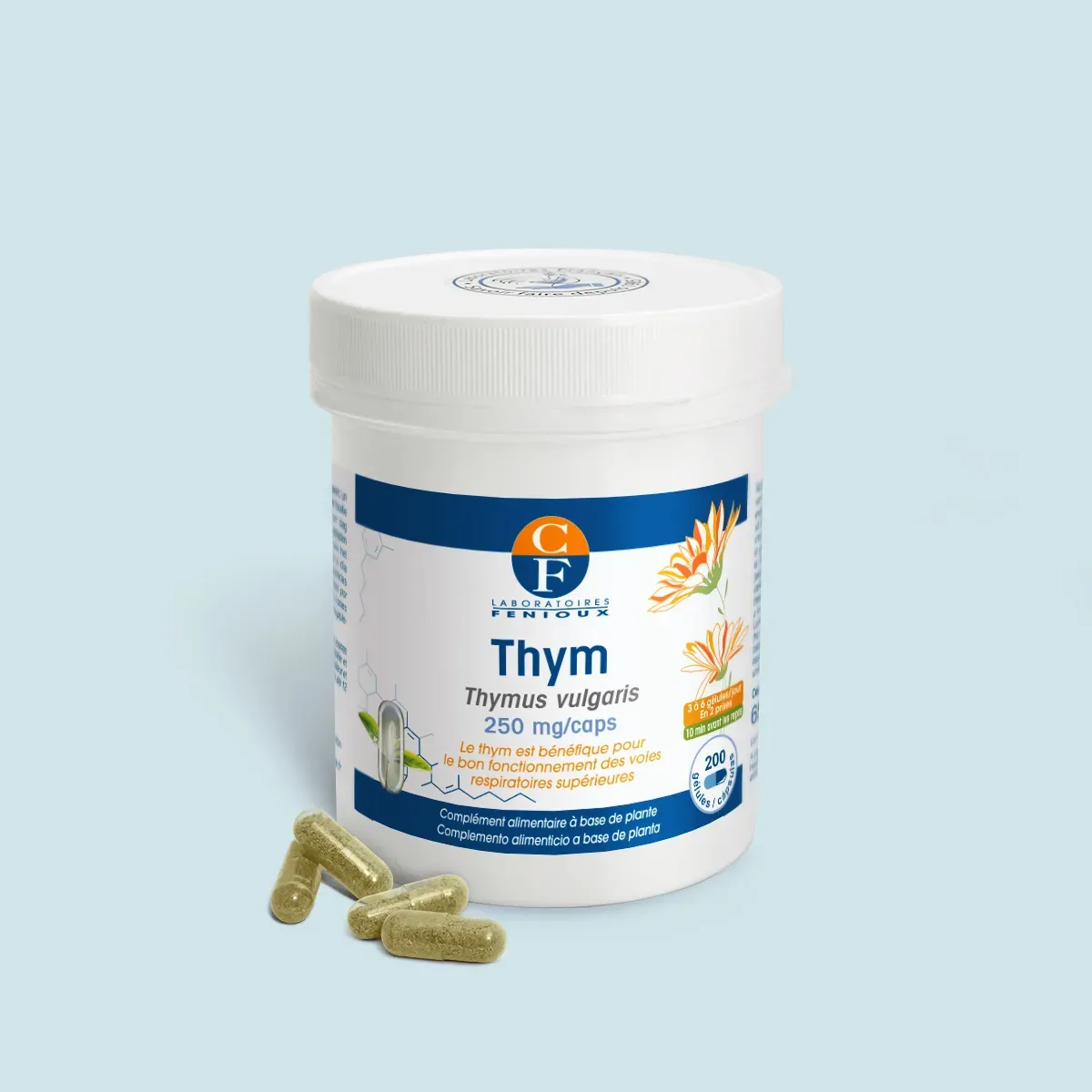 Thym (Thymus vulgaris) - Voies respiratoires