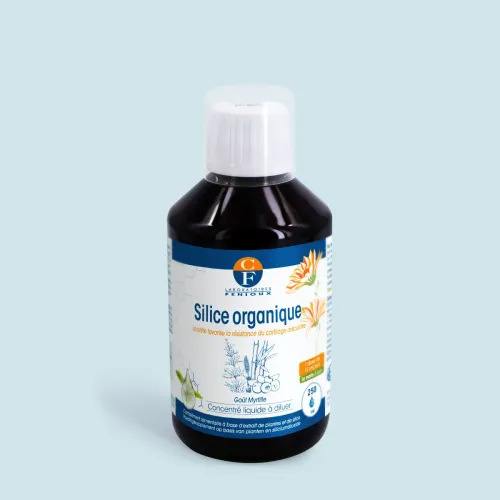 Silice organique