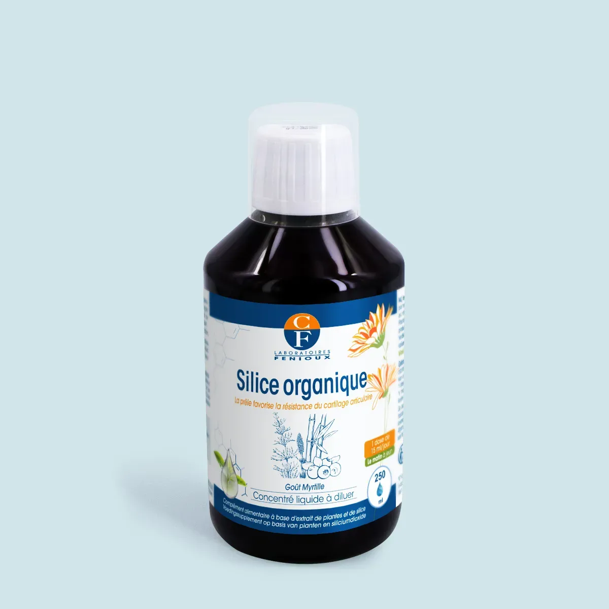 Silice organique
