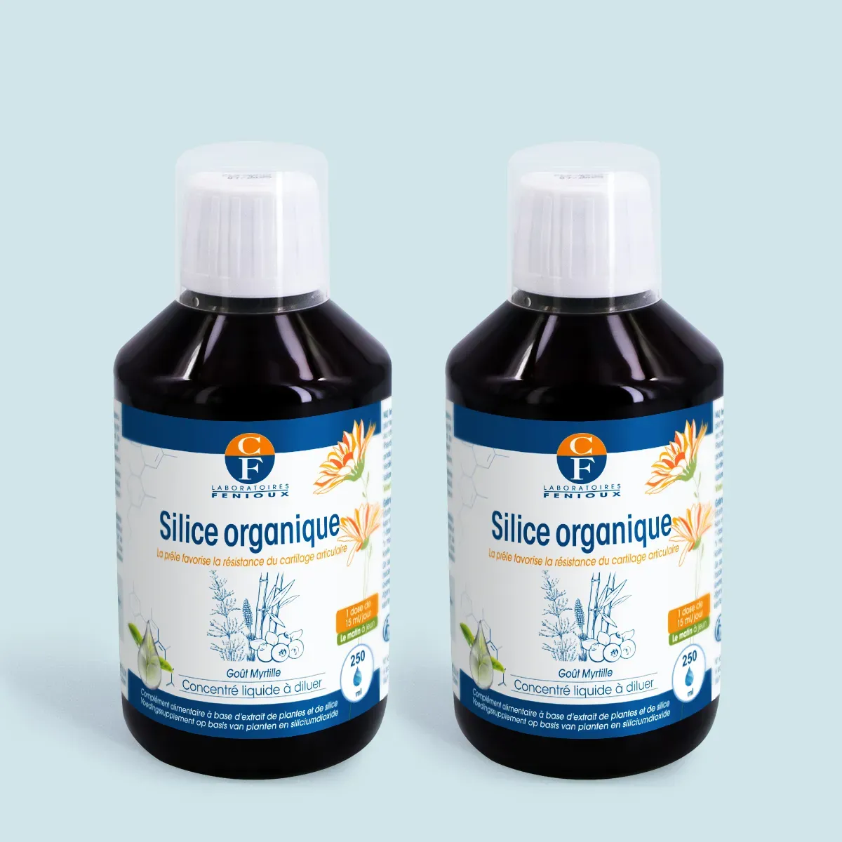 Silice organique (lot)