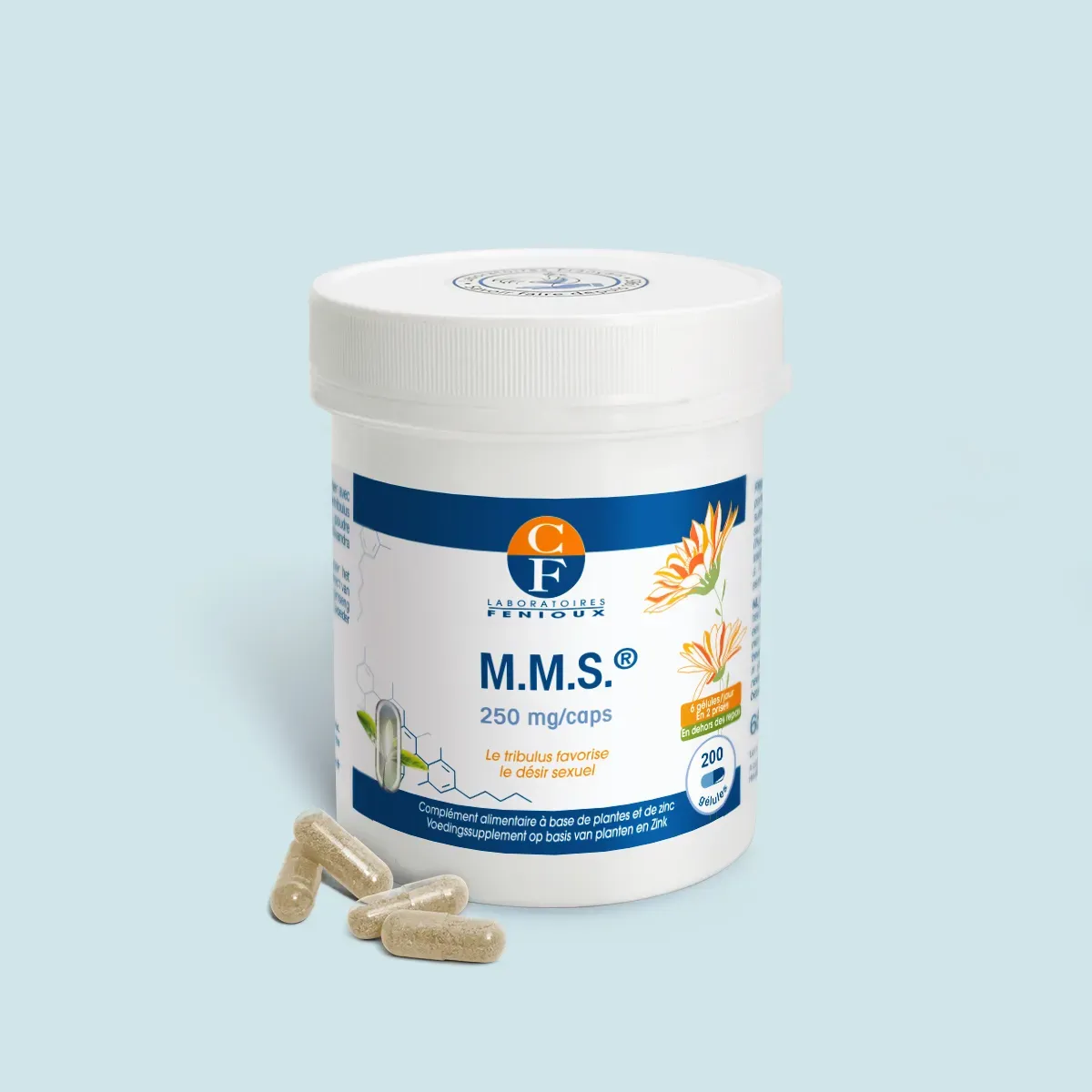 M.M.S.®