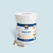 Hericium