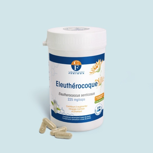 Eleuthérocoque (Eleutherococcus senticosus)