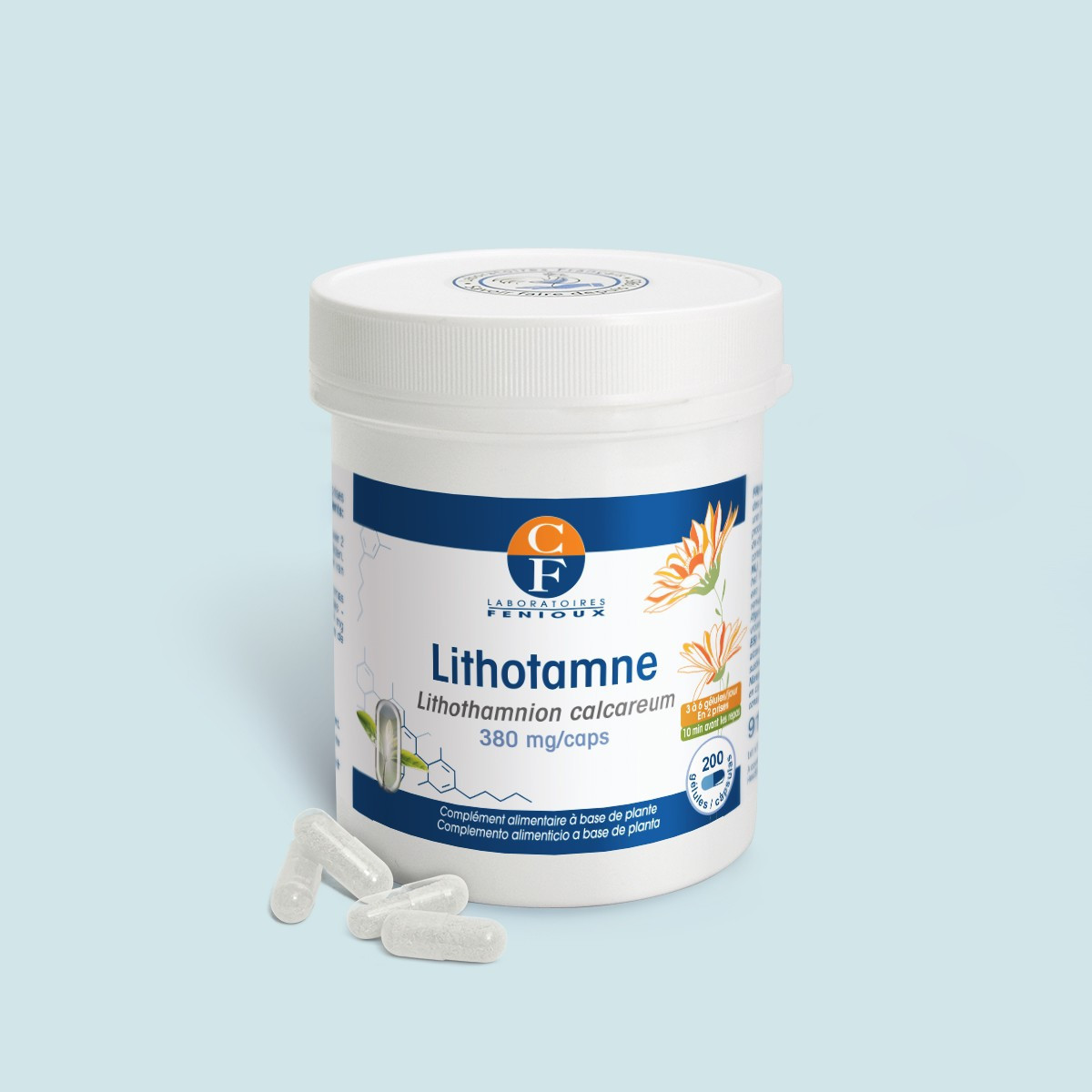 Lithotamne (Lithothamnium calcareum) - Reminéralisation osseuse
