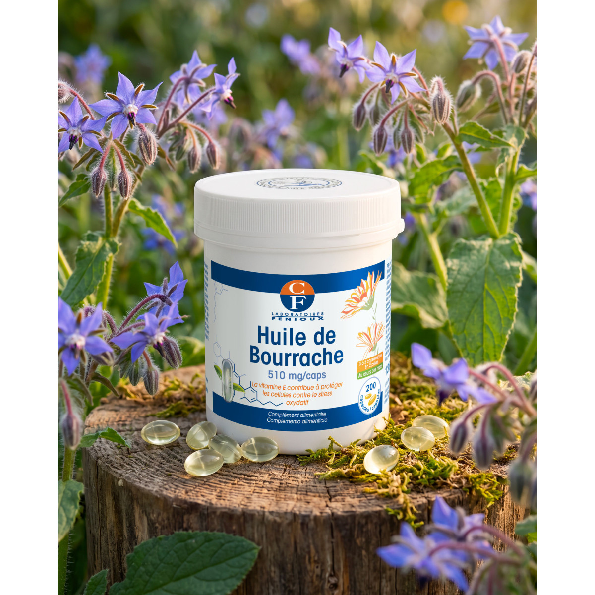 Huile de Bourrache (Borago officinalis) - Stress oxydatif