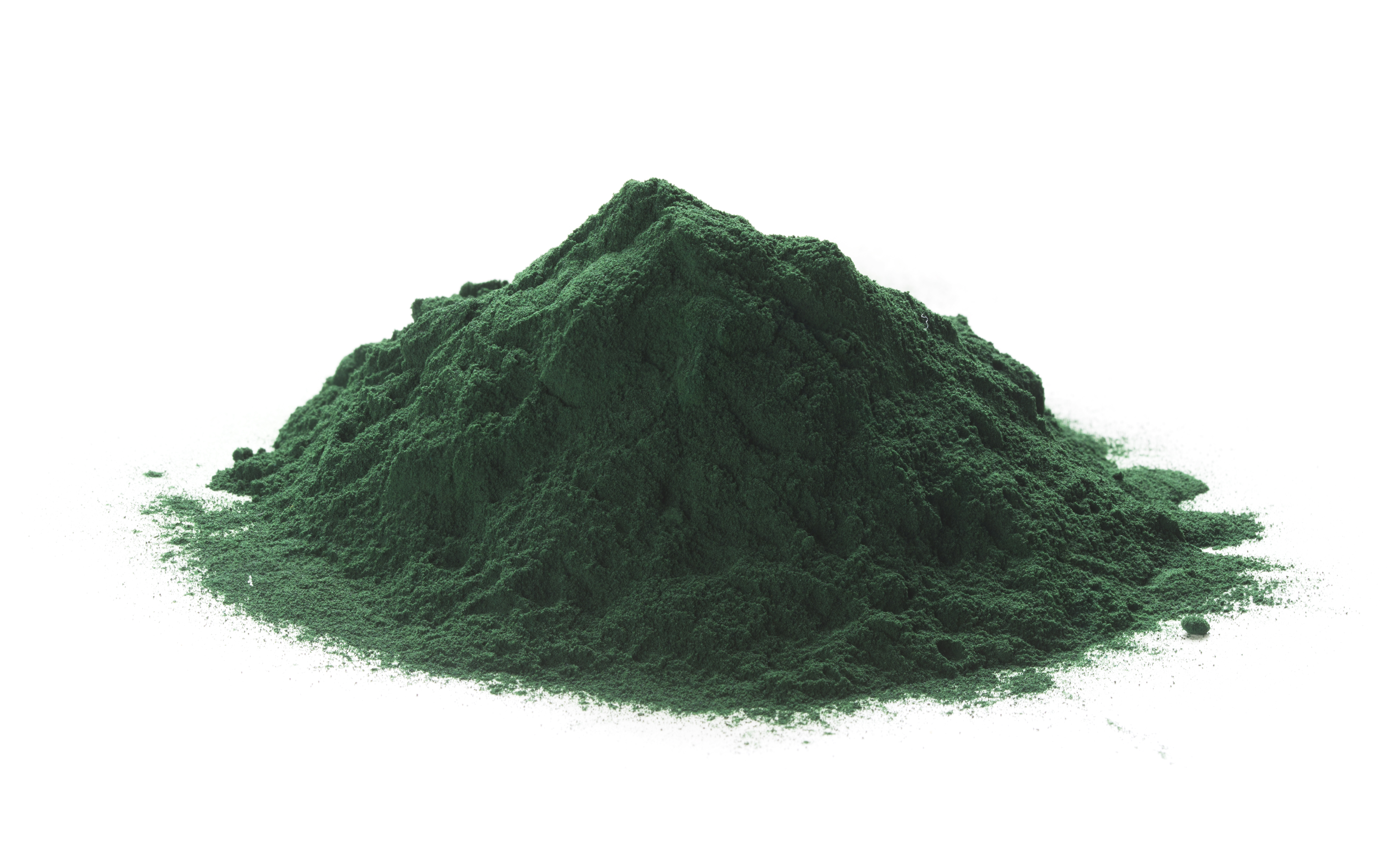 Spiruline riche en protéines et antioxydants - Laboratoires Fenioux