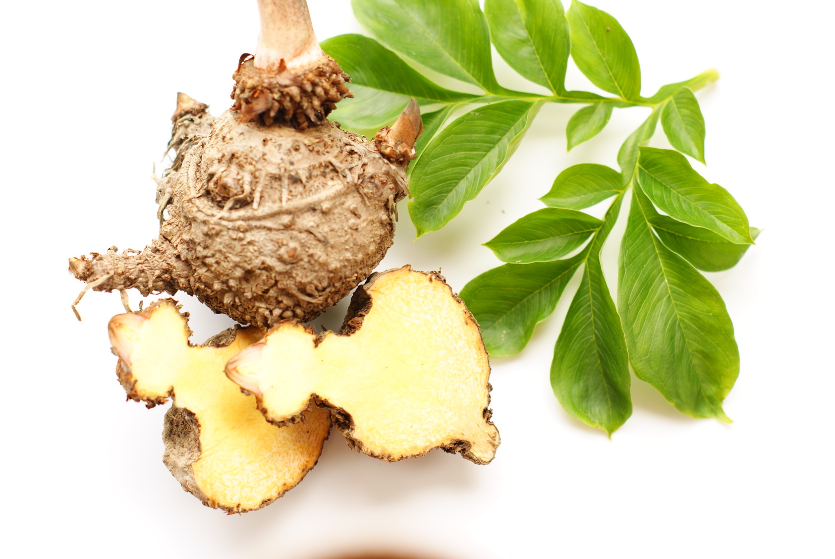 Le konjac