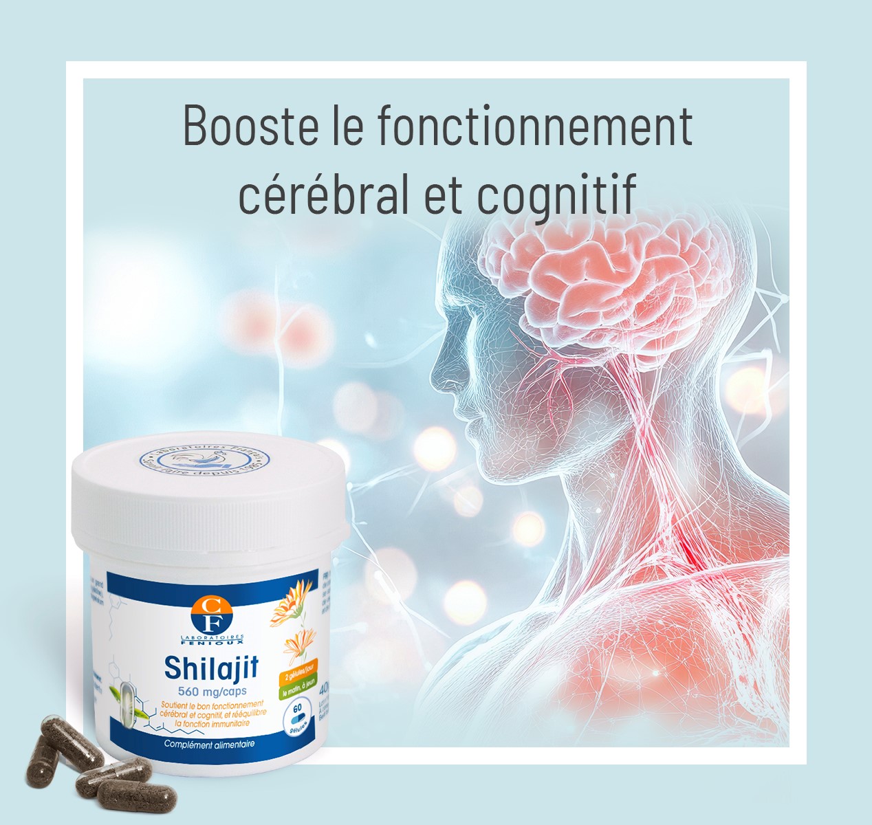 Shilajit