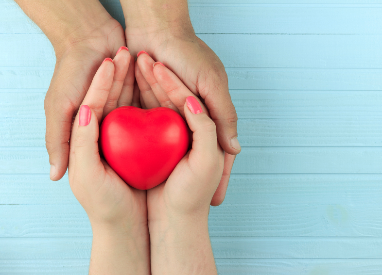 Le cholestérol : le comprendre pour bien le réguler naturellement
