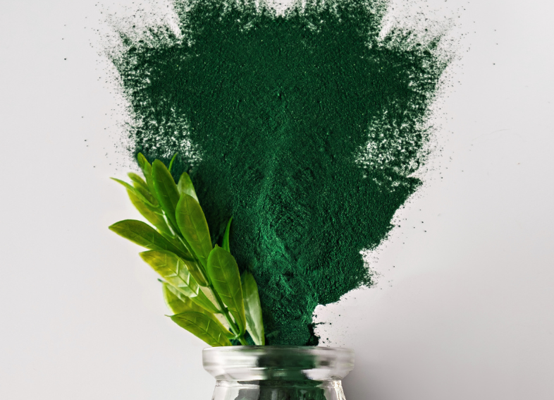 La spiruline, le super-aliment pour la vitalité et la santé