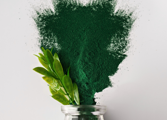 La spiruline, le super-aliment pour la vitalité et la santé