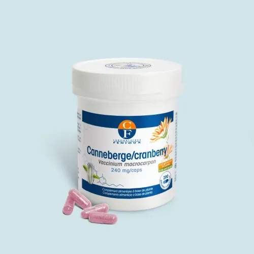 Canneberge (Vaccinium macrocarpon)