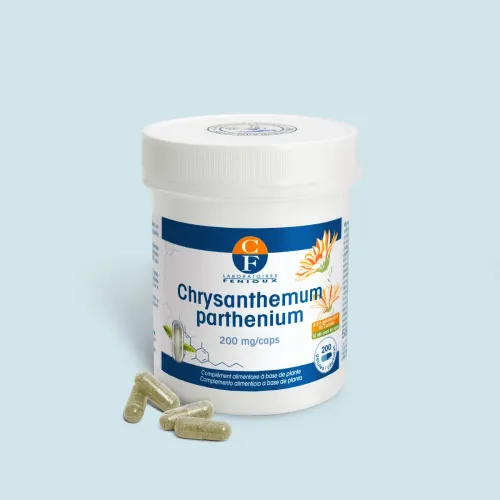 Chrysanthemum Parthenium