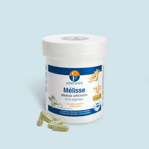 Mélisse (Melissa officinalis)