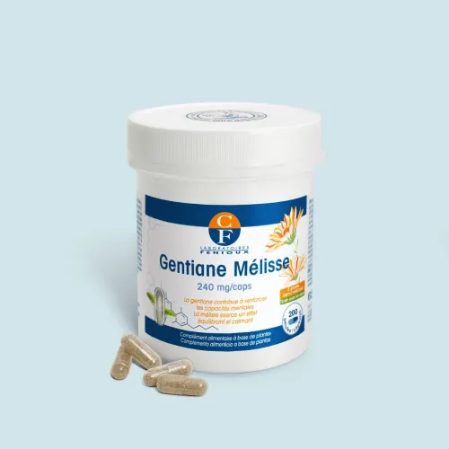 Gentiane Mélisse - Fatigue mentale