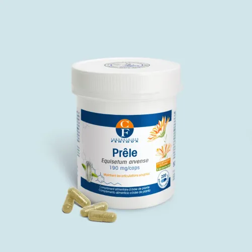 Prêle (Equisetum arvense)