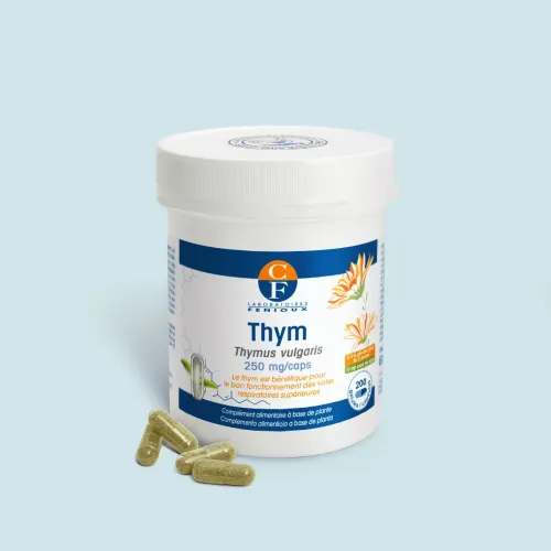Thym (Thymus vulgaris)